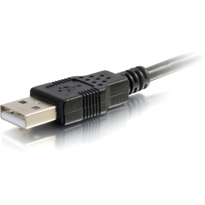 Câble USB C2G 27366