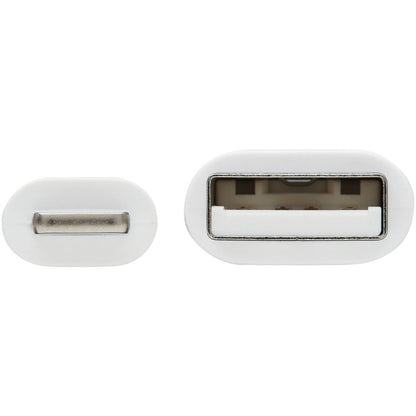 Câble de transfert de données Lightning/USB Tripp Lite Safe-IT M100AB-01M-WH M100AB-01M-WH