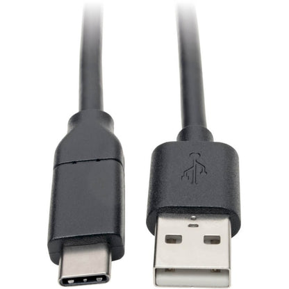 Câble USB-A vers USB-C (M/M) Tripp Lite U038-C13, certifié USB-IF, 13 pi. U038-C13