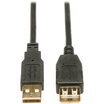 Câble d'extension USB 2.0 Tripp Lite U024-006