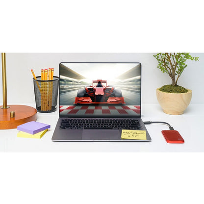 Disque SSD portable WD My Passport WDBAGF0010BRD-WESN 1 To - Externe - Rouge WDBAGF0010BRD-WESN
