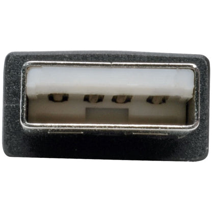 Tripp Lite by Eaton U209-18N-NULL Data Transfer Cable U209-18N-NULL