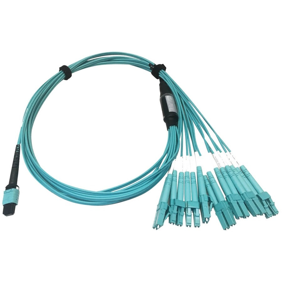 Câble réseau de raccordement à fibre optique Tripp Lite par Eaton N846D-01M-24CAQ N846D-01M-24CAQ