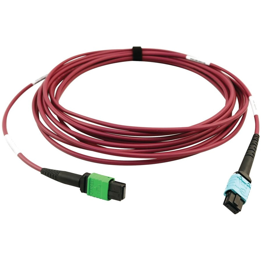 Câble réseau à fibre optique Tripp Lite par Eaton N846D-05M-16CMG N846D-05M-16CMG