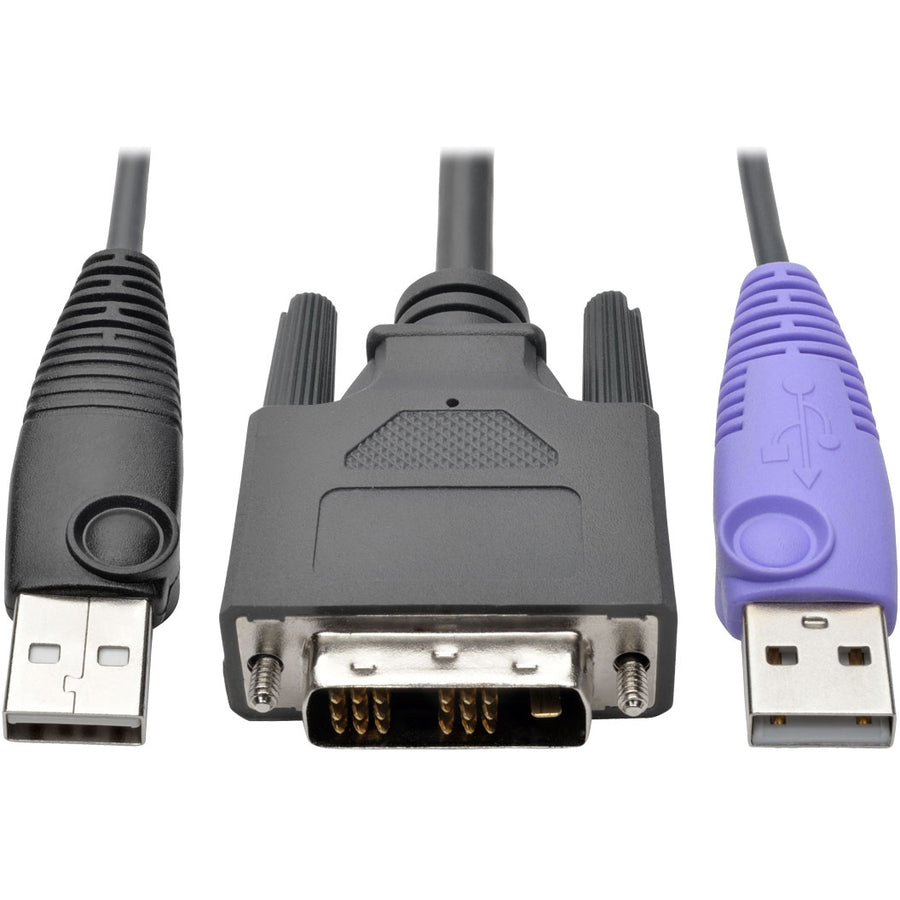 Tripp Lite par Eaton B055-001-UDV Unité d'interface serveur USB DVI NetDirector B055-001-UDV