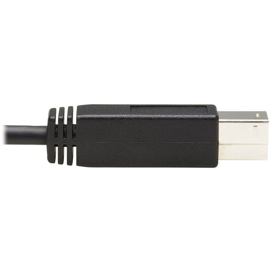 Câble USB-C 3.1 Gen 2 vers USB 3.0 Type-B (M/M) Tripp Lite par Eaton U422-20N-G2, 20 pouces U422-20N-G2