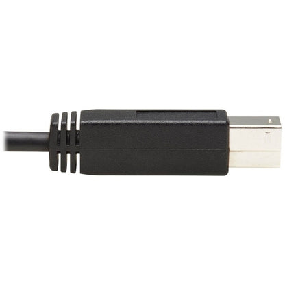 Câble USB-C 3.1 Gen 2 vers USB 3.0 Type-B (M/M) Tripp Lite par Eaton U422-20N-G2, 20 pouces U422-20N-G2