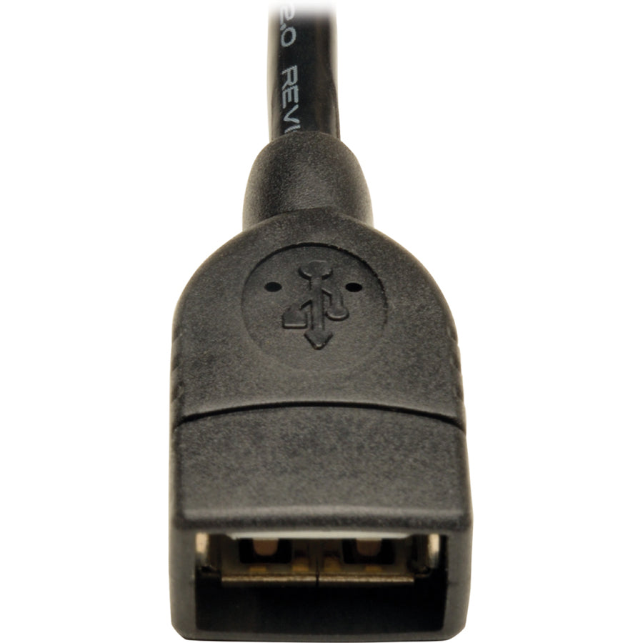Câble d'en-tête IDC 4 broches USB 2.0 A femelle vers carte mère USB Tripp Lite par Eaton 6" U024-06N-IDC