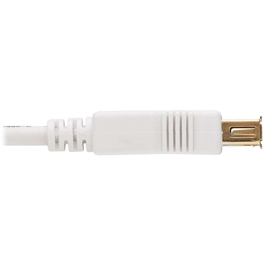 Câble d'extension antibactérien Tripp Lite Safe-IT USB-A (M/F), USB 2.0, blanc, 3 pi. U024AB-003-WH
