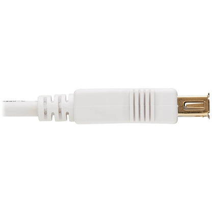 Câble d'extension antibactérien Tripp Lite Safe-IT USB-A (M/F), USB 2.0, blanc, 3 pi. U024AB-003-WH