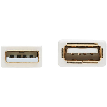 Câble d'extension antibactérien Tripp Lite Safe-IT USB-A (M/F), USB 2.0, blanc, 3 pi. U024AB-003-WH