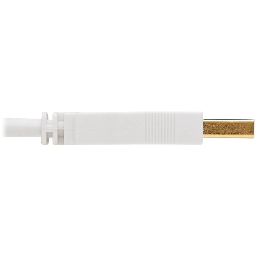 Câble d'extension antibactérien Tripp Lite Safe-IT USB-A (M/F), USB 2.0, blanc, 3 pi. U024AB-003-WH