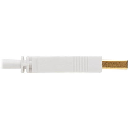 Câble d'extension antibactérien Tripp Lite Safe-IT USB-A (M/F), USB 2.0, blanc, 3 pi. U024AB-003-WH