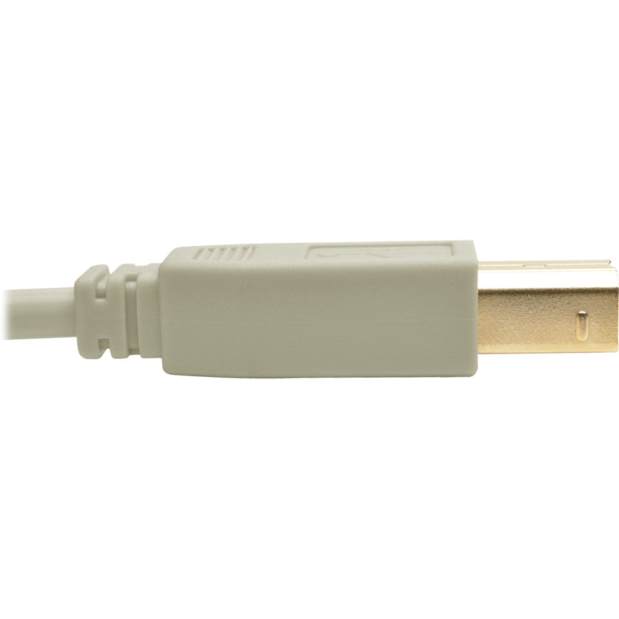 Câble USB 2.0 haute vitesse A/B Tripp Lite par Eaton (M/M), beige, 10 pi U022-010-BE