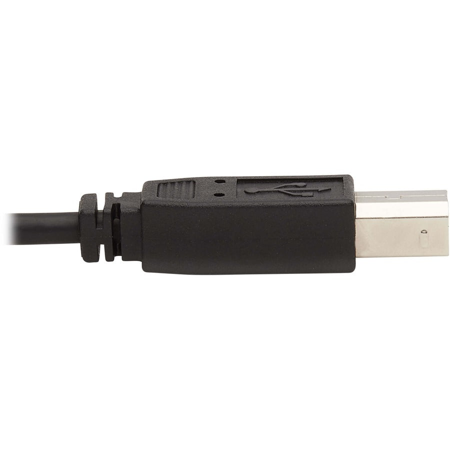 Câble KVM Tripp Lite par Eaton P784-006-DV P784-006-DV