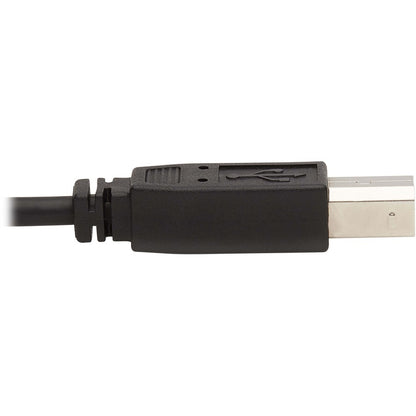 Câble KVM Tripp Lite par Eaton P784-006-DV P784-006-DV