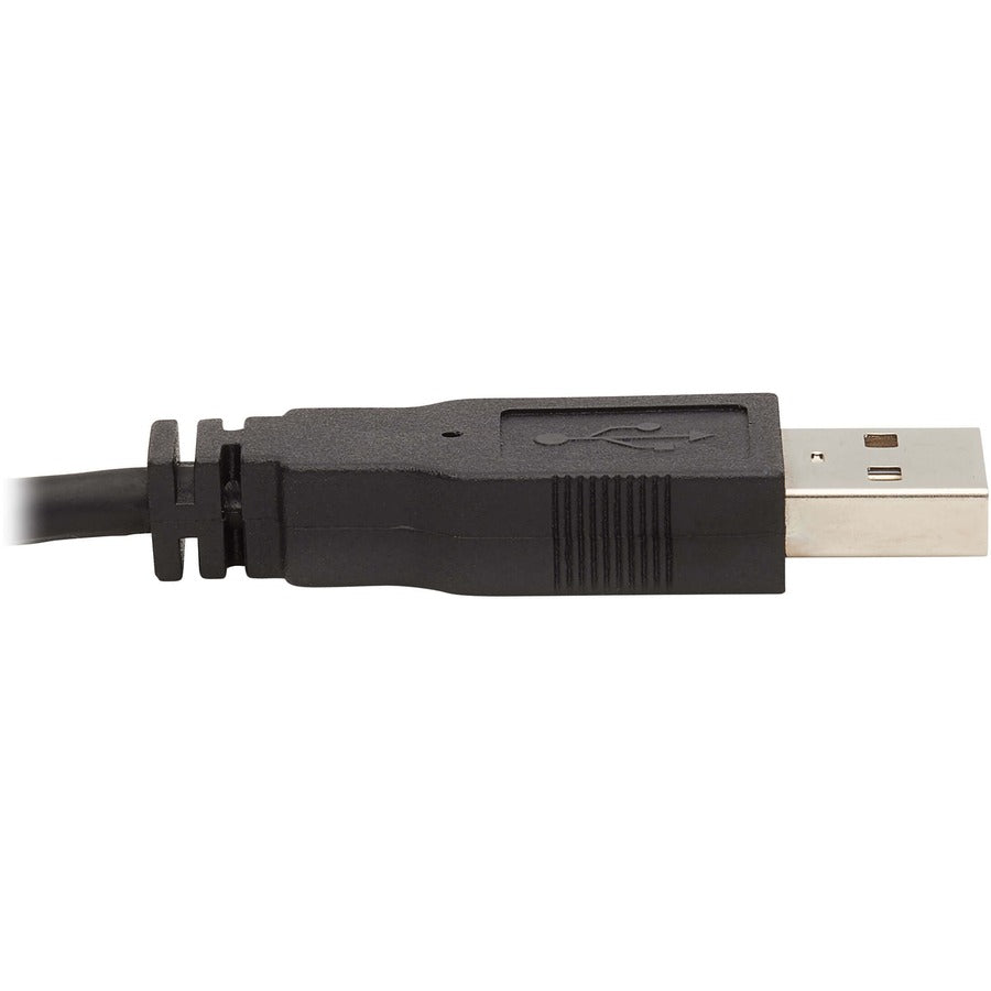 Câble KVM Tripp Lite par Eaton P784-006-DV P784-006-DV