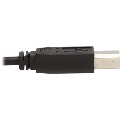 Câble KVM Tripp Lite par Eaton P783-010-DPU P783-010-DPU