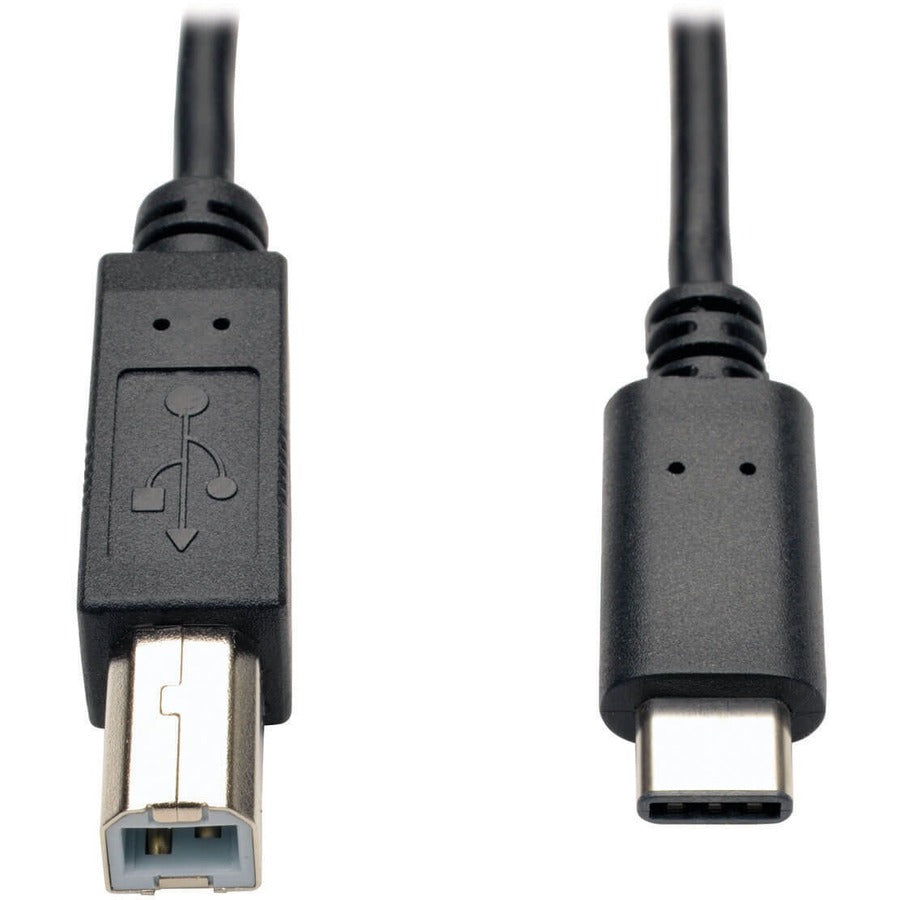 Câble USB Type-B mâle vers USB-C haute vitesse Tripp Lite par Eaton U040-006