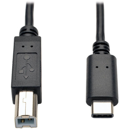 Câble USB Type-B mâle vers USB-C haute vitesse Tripp Lite par Eaton U040-006