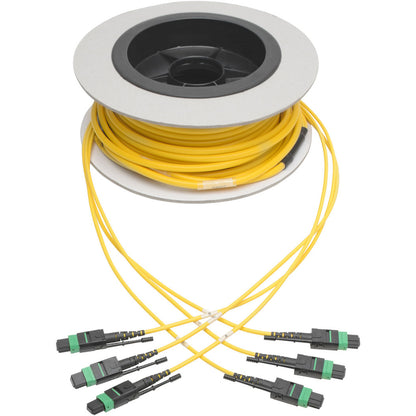 Câble de raccordement à fibre optique Tripp Lite par Eaton N392-11M-3X8-AP N392-11M-3X8-AP