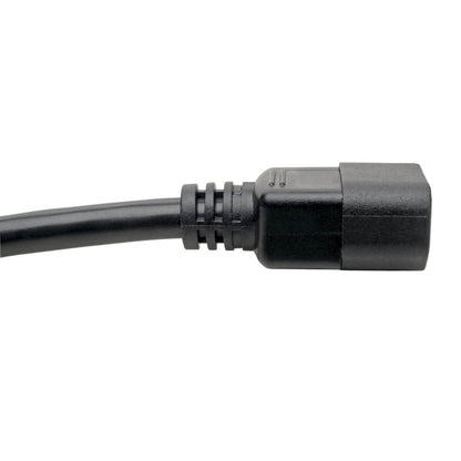 Rallonge d'alimentation Tripp Lite par Eaton P005-L06 P005-L06