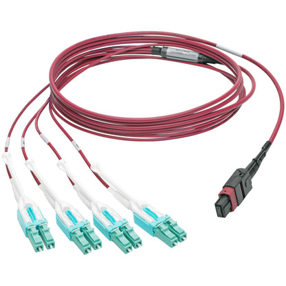 Câble de raccordement en éventail Tripp Lite by Eaton N845-01M-8L-MG MTP/MPO vers 8xLC, magenta, 1 m N845-01M-8L-MG