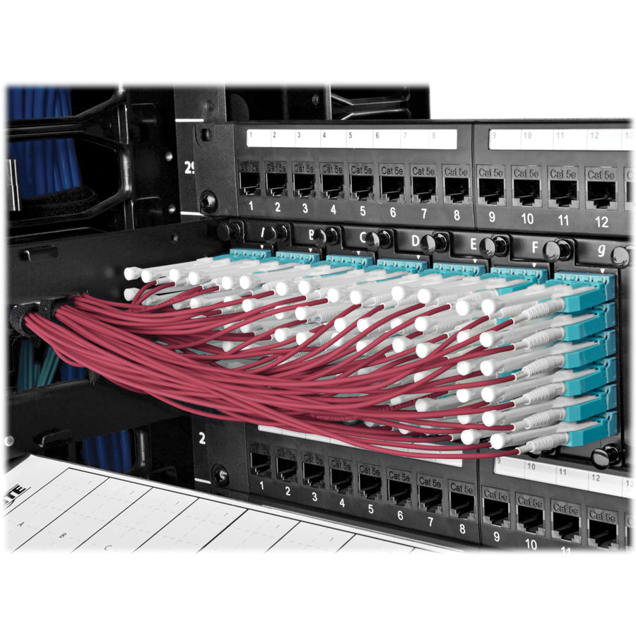 Câble de raccordement en éventail Tripp Lite by Eaton N845-05M-8L-MG MTP/MPO vers 8xLC, magenta, 5 m N845-05M-8L-MG