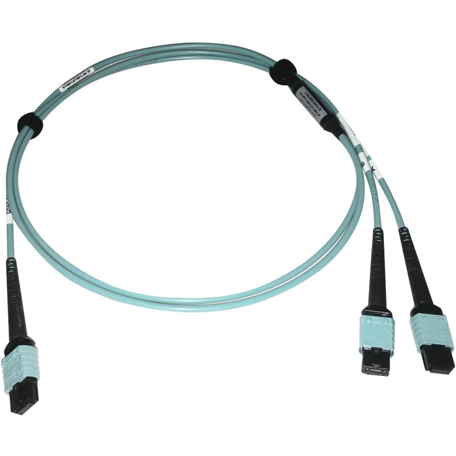 Câble réseau de raccordement à fibre optique Tripp Lite par Eaton N846D-01M-24BAQ N846D-01M-24BAQ