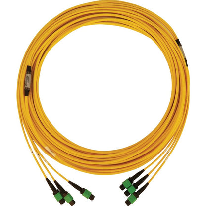 Câble réseau principal à fibre optique Tripp Lite par Eaton N392B-15M-3X8AP N392B-15M-3X8AP