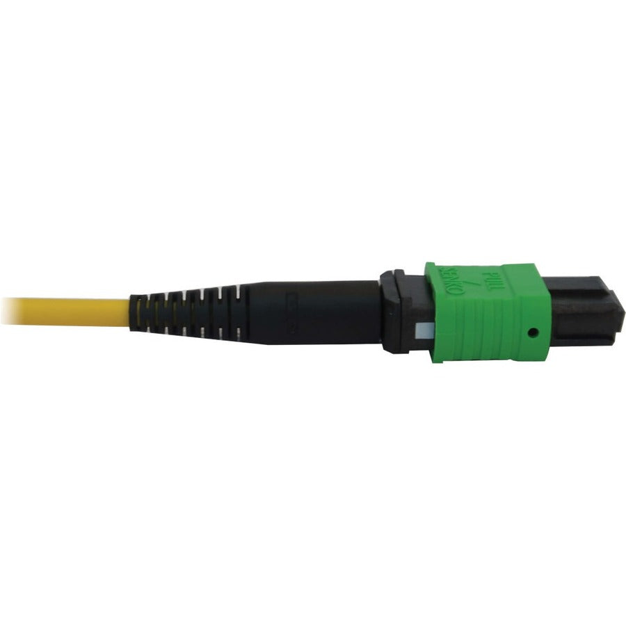 Câble réseau principal à fibre optique Tripp Lite par Eaton N392B-15M-3X8AP N392B-15M-3X8AP