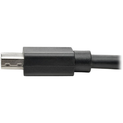 Câble d'extension Mini DisplayPort (M/F) Tripp Lite par Eaton P585-010, 10 pi P585-010