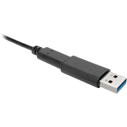 Adaptateur USB-C vers USB-A (F/M) Tripp Lite par Eaton, USB 3.2 Gen 2 (10 Gbit/s) U329-000-10G