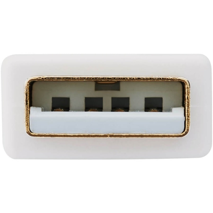 Convertisseur actif DisplayPort vers DVI Dual-Link (M/F) Tripp Lite by Eaton P134-06N-DVI-DL, 6 pouces P134-06N-DVI-DL