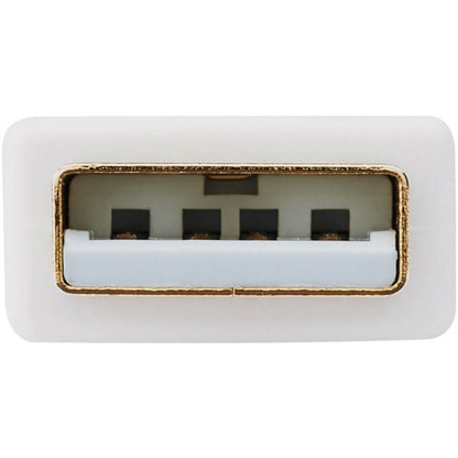 Convertisseur actif DisplayPort vers DVI Dual-Link (M/F) Tripp Lite by Eaton P134-06N-DVI-DL, 6 pouces P134-06N-DVI-DL