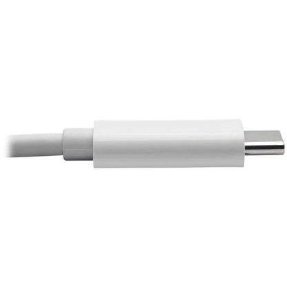 Câble adaptateur USB-C vers DVI (M/M) Tripp Lite by Eaton U444-010-DE, blanc, 3 m (10 pi) U444-010-DE