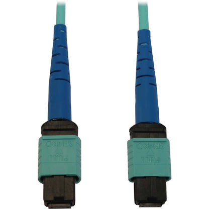 Tripp Lite by Eaton N846B-01M-24-P Fiber Optic Network Cable N846B-01M-24-P