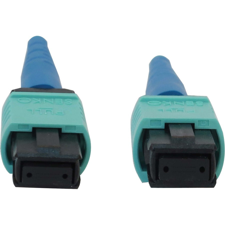 Tripp Lite by Eaton N846B-01M-24-P Fiber Optic Network Cable N846B-01M-24-P
