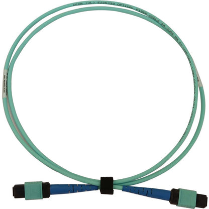 Tripp Lite by Eaton N846B-01M-24-P Fiber Optic Network Cable N846B-01M-24-P