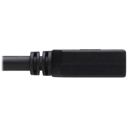 Câble d'extension DisplayPort avec loquets (M/F) Tripp Lite par Eaton, 6 pieds P579-006