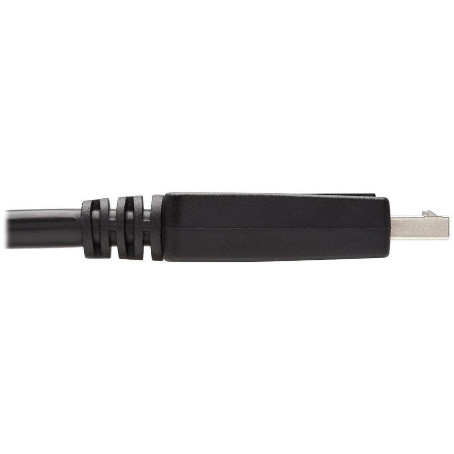 Câble vidéo numérique Tripp Lite par Eaton P581-010 P581-010