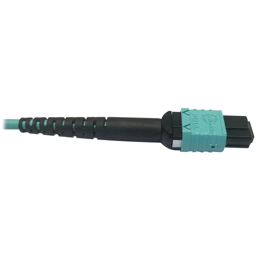Câble réseau de raccordement à fibre optique Tripp Lite par Eaton N846D-01M-24AAQ N846D-01M-24AAQ