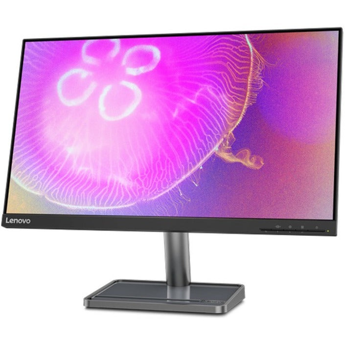 Moniteur LCD WQHD Lenovo L24q-35 24 pouces - 16:9 66D1GCC1US