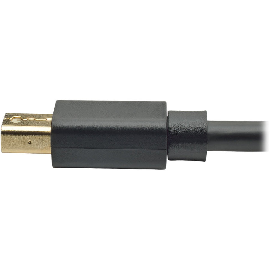 Câble audio/vidéo DisplayPort/Mini DisplayPort Tripp Lite par Eaton P583-003-BK P583-003-BK