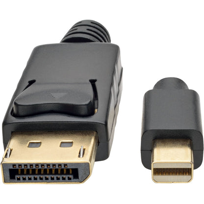 Câble audio/vidéo DisplayPort/Mini DisplayPort Tripp Lite par Eaton P583-003-BK P583-003-BK