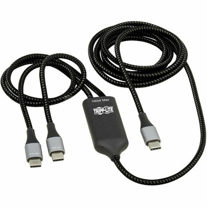 Câble de charge/répartiteur USB-C Tripp Lite par Eaton (M/2xM) - Charge PD 100 W, 6 pi (1,8 m) U420P-2X6-100W