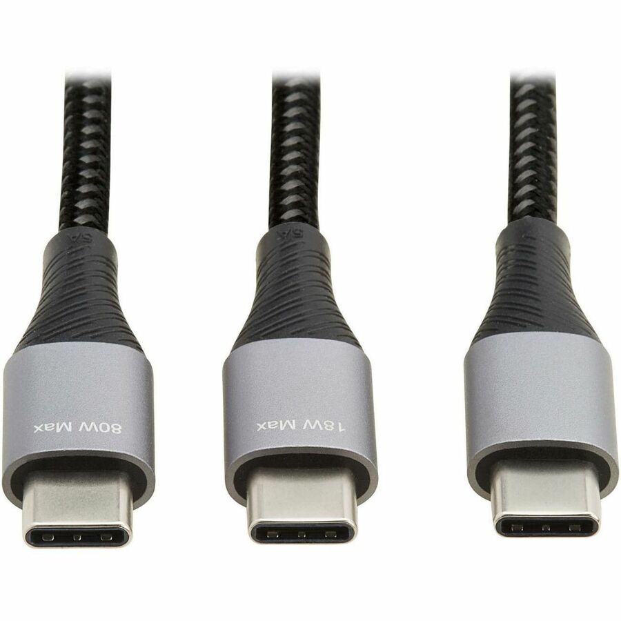 Câble de charge/répartiteur USB-C Tripp Lite par Eaton (M/2xM) - Charge PD 100 W, 6 pi (1,8 m) U420P-2X6-100W