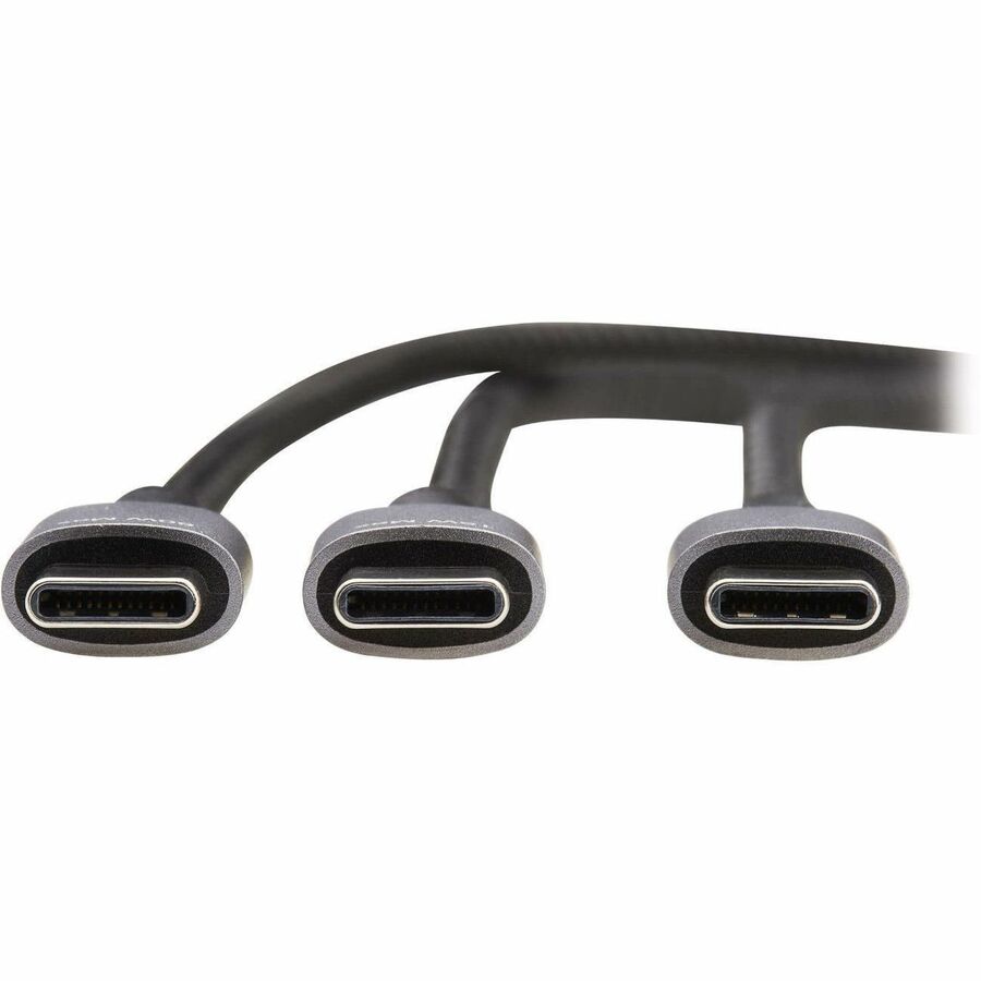 Câble de charge/répartiteur USB-C Tripp Lite par Eaton (M/2xM) - Charge PD 100 W, 6 pi (1,8 m) U420P-2X6-100W