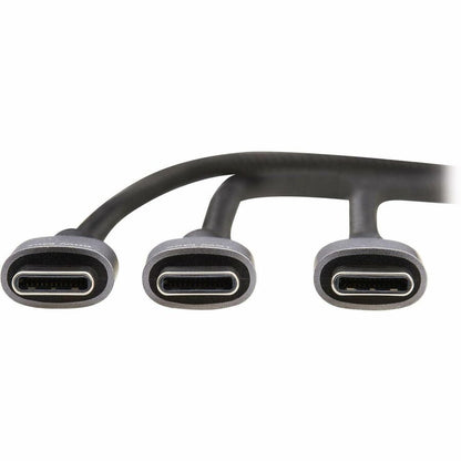 Câble de charge/répartiteur USB-C Tripp Lite par Eaton (M/2xM) - Charge PD 100 W, 6 pi (1,8 m) U420P-2X6-100W