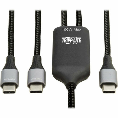 Câble de charge/répartiteur USB-C Tripp Lite par Eaton (M/2xM) - Charge PD 100 W, 6 pi (1,8 m) U420P-2X6-100W